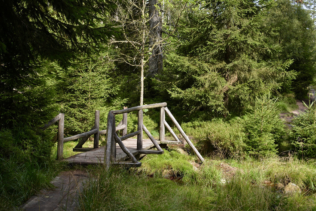 Brücke im Harz