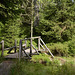 Brücke im Harz