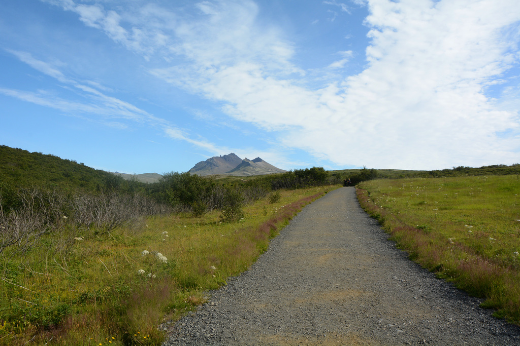 Iceland, On the Svartifoss Trail