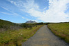 Iceland, On the Svartifoss Trail