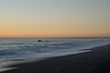 Neuseeland - Wainuiomata Beach