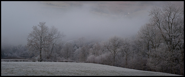 All frost, no snow