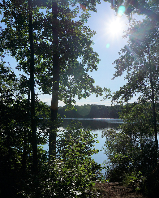 Wildförstersee