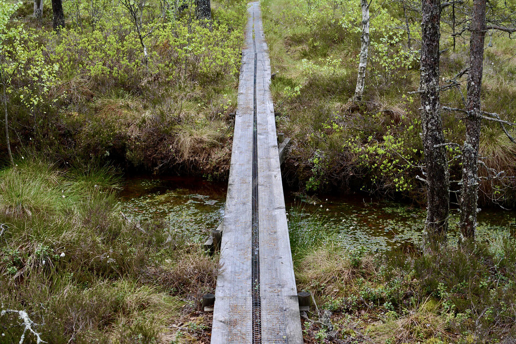 Schwedische Brücke