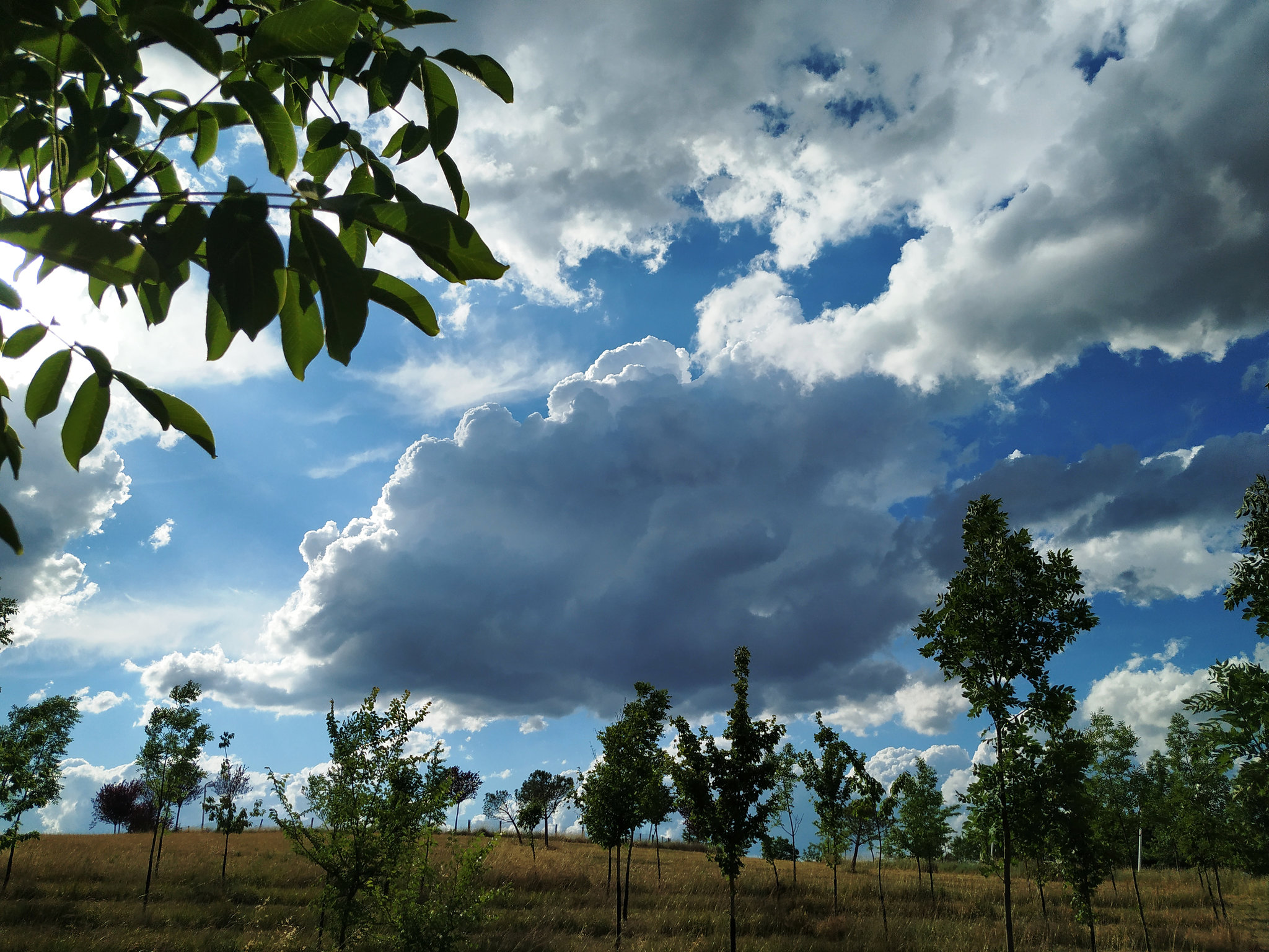 Nubes de la tarde, 22