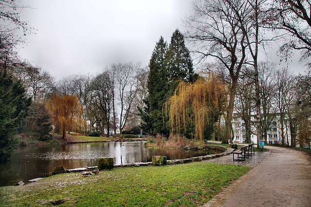 Teich im Stadtgarten (Hagen-Wehringhausen) / 29.01.2022