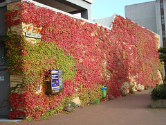 Wandbehang in rot-grün