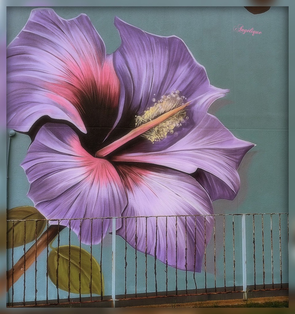 Graff de Blesea ...............Bonne journée  et long WE❤️HFF/