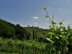 Südsteirische Weinstraße 3