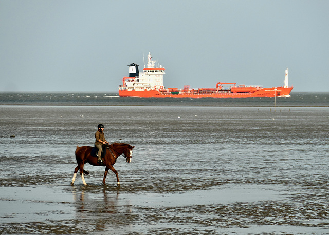 Von der Elbe in die Nordsee Von der Elbe in die Nordsee