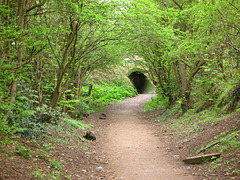 South Staffs Railway Walk