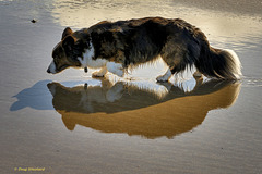 Nerys meets her shadow and reflection