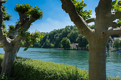 am Rhein bei Eglisau (© Buelipix)