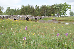 Brücke über den Frösslundabach