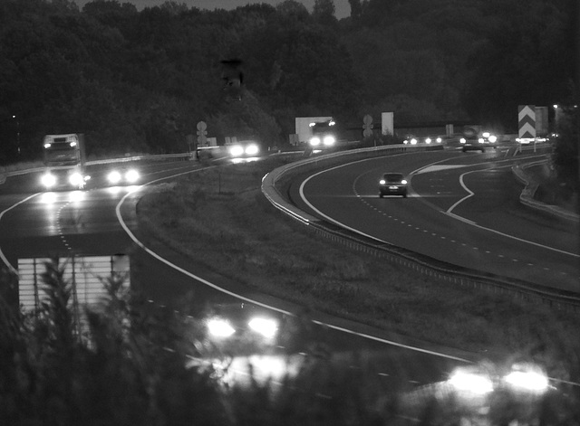 Coming home from vacation