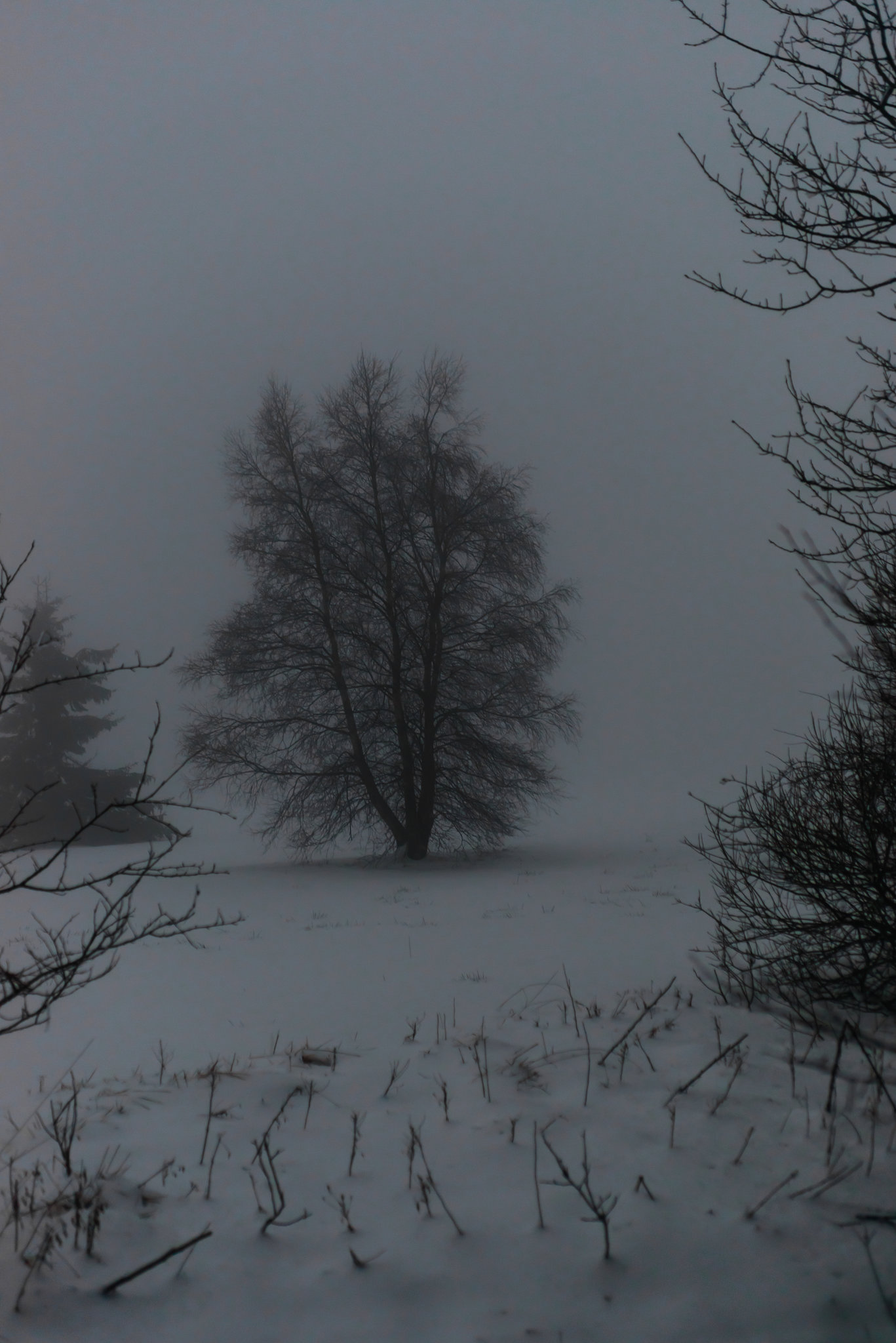 Im Moor ist's jetzt dunkel - 20150101