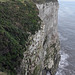 Bempton Cliffs