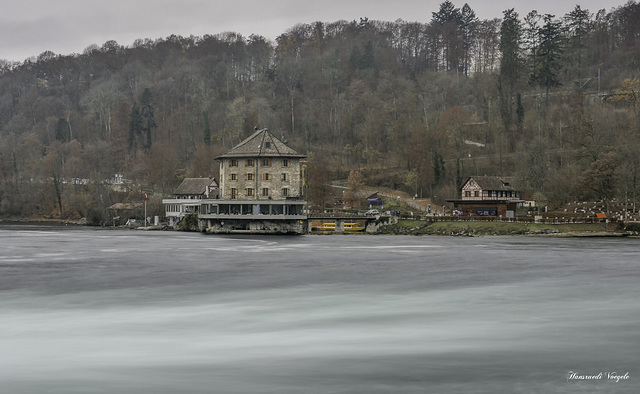 Am Rheinfall /Schlösschen Wörth