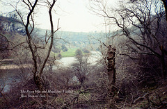 The River Wye and Headstone Viaduct from Monsal Dale (Scan from 1991)