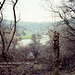 The River Wye and Headstone Viaduct from Monsal Dale (Scan from 1991)