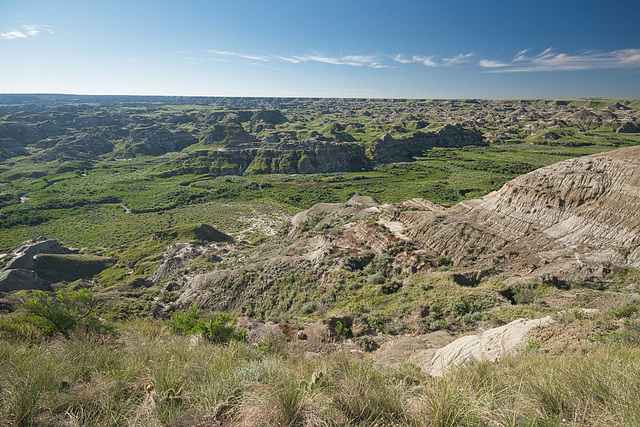 green badlands 4