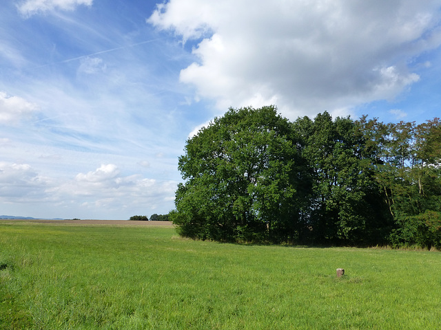 Auf dem Schwalberstieg