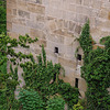 ? am Schloß Hohentübingen  HWW