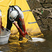 Remise à l'eau des poissons en aval