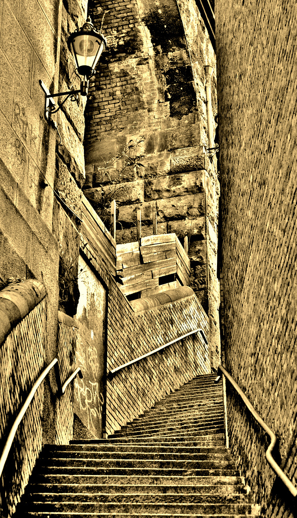 Dog Leap Stairs