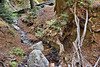 In the Redwood Forest, Take 4 – Pfeiffer Big Sur State Park, Monterey County, California