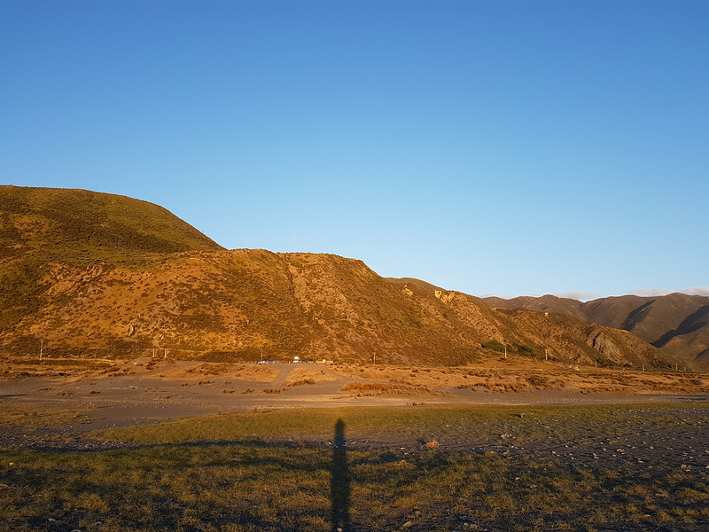Neuseeland - Wainuiomata Beach