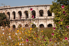 Arènes de Nîmes