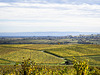 Herbst an der Weinstraße