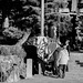 Hoisting the flag at a shrine