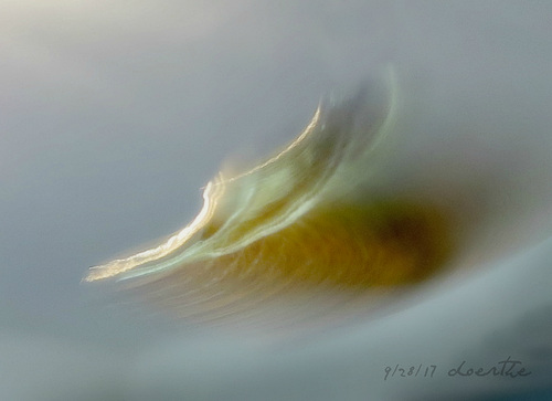 A Space Craft (das neu eingestellte Foto zeigt was es ist)