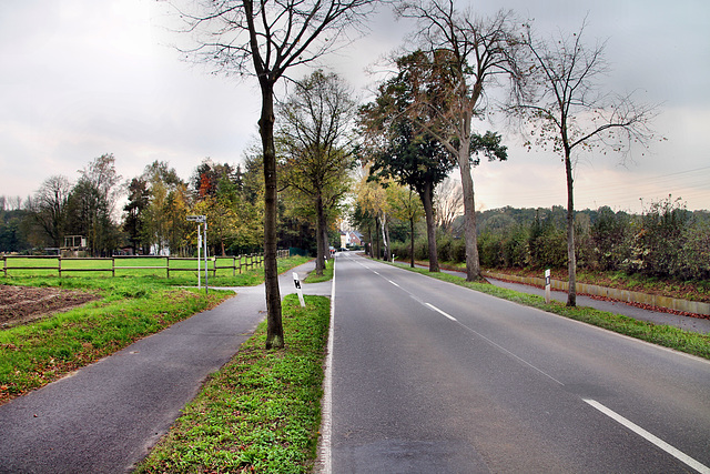 Ickerner Straße (Waltrop) / 2.11.2017