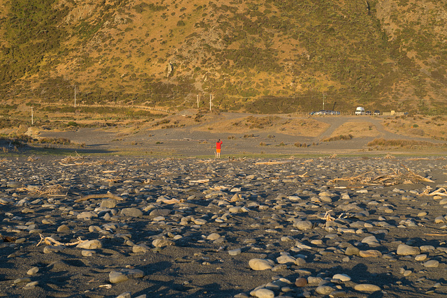 Neuseeland - Wainuiomata Beach