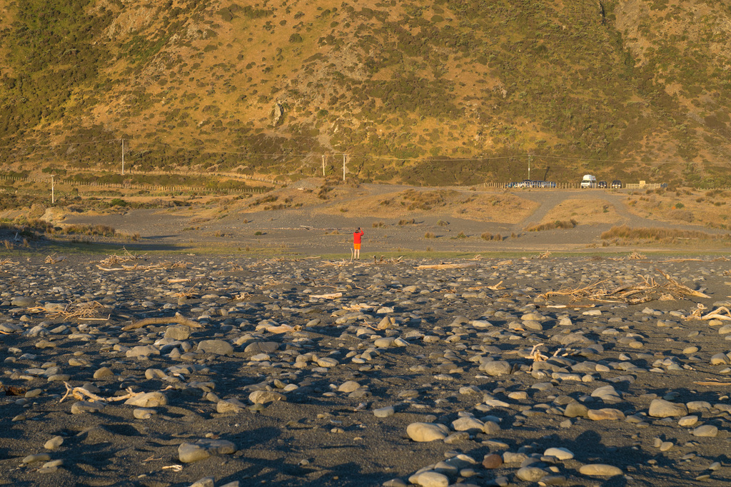 Neuseeland - Wainuiomata Beach