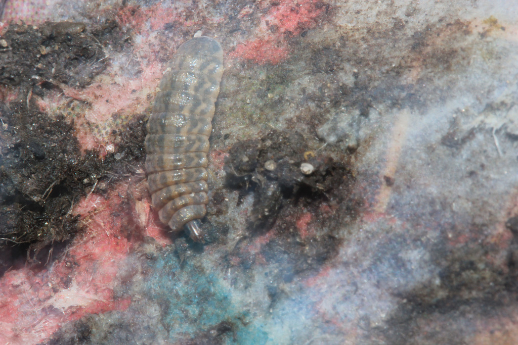 2014_0315Mar20140022