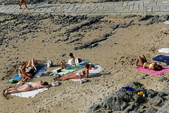 Echouées sur le sable