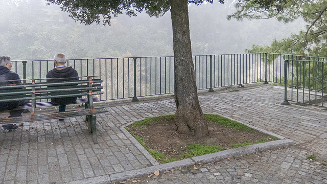 Couple.  checking the mist