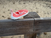 WELCOME TO HFF - START POSTING ON FRIDAY YOUR TIME ZONE--- Monte Gordo,  lost kid's  shoe!