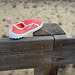 WELCOME TO HFF - START POSTING ON FRIDAY YOUR TIME ZONE--- Monte Gordo,  lost kid's  shoe!