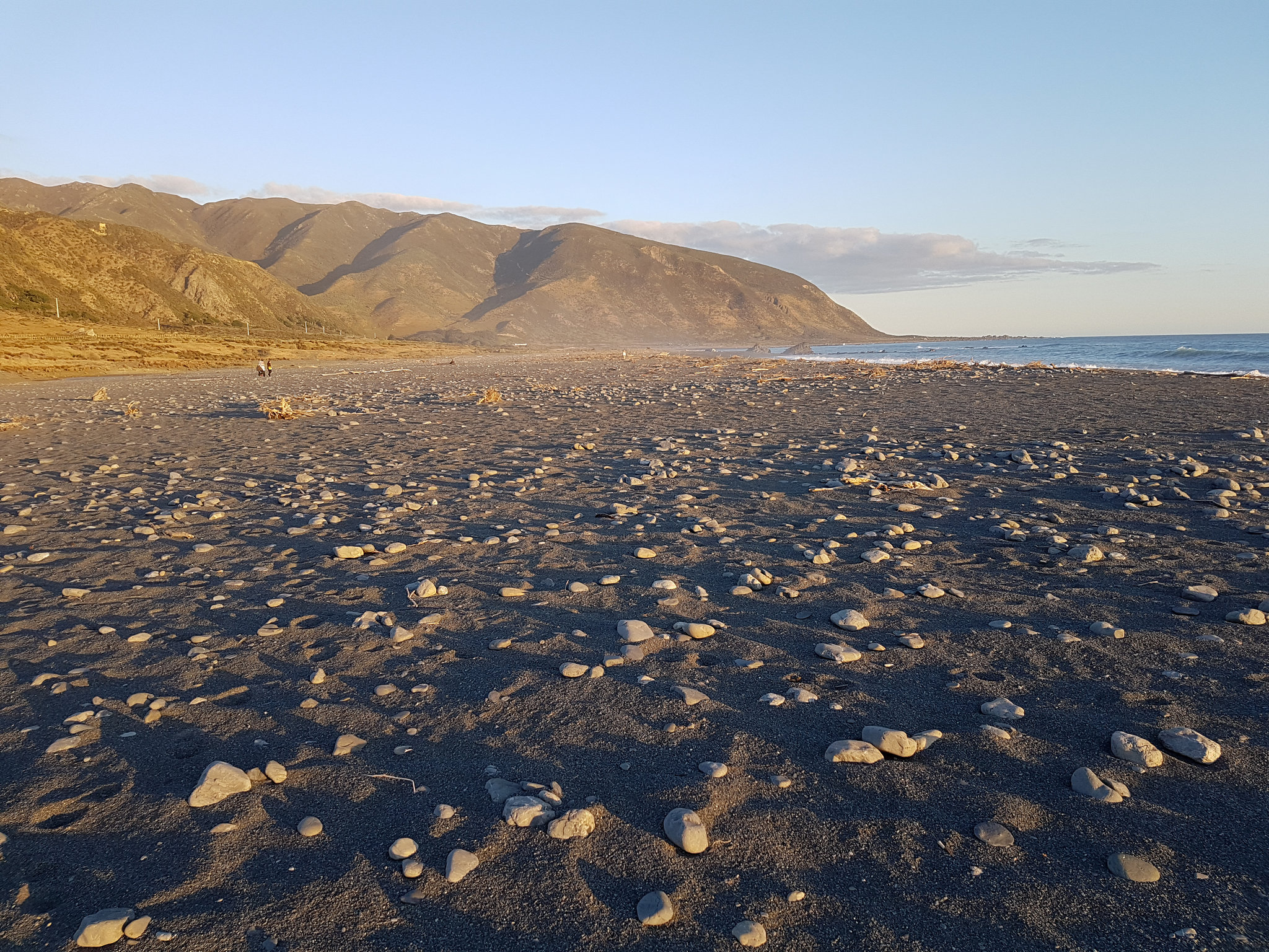 Neuseeland - Wainuiomata Beach