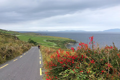 HFF Valentia Island Kerry Ireland 6th September 2014