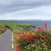 HFF Valentia Island Kerry Ireland 6th September 2014