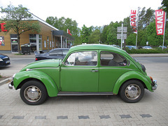 grün bei grün