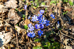 Farbtupfen