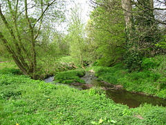 Wom Brook