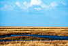 Parkgate marshes